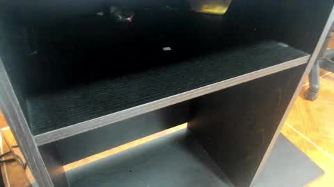 Snapshot of miia_taylor_1_ chatting on February 24, 2025, 11:10 am Mia online show from February 24, 2025, 11:10 am