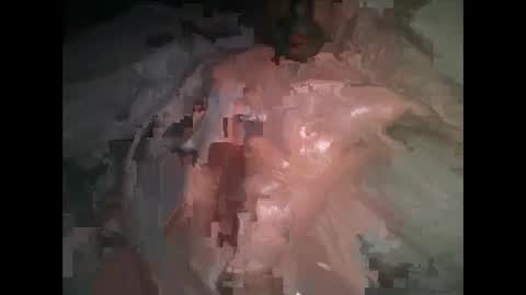 MR-Michael Horse online show from January 13, 2025, 3:12 am