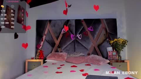 Milan  online show from February 14, 2025, 11:31 am