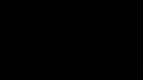 Mila online show from November 10, 2025, 2:16 pm