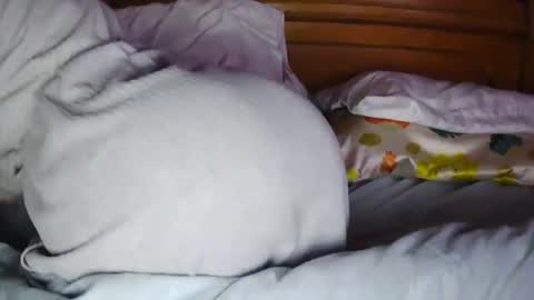 Snapshot of milfytitts chatting on October 16, 2025, 12:39 pm MilfyTitts online show from October 16, 2025, 12:39 pm