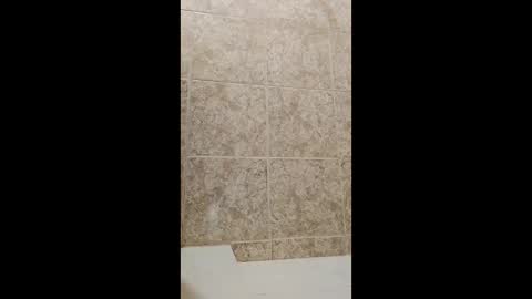 mineiro1514 online show from April 1, 2026, 2:34 am