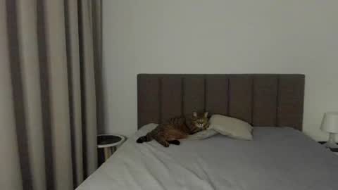 Emily online show from February 9, 2025, 8:13 pm