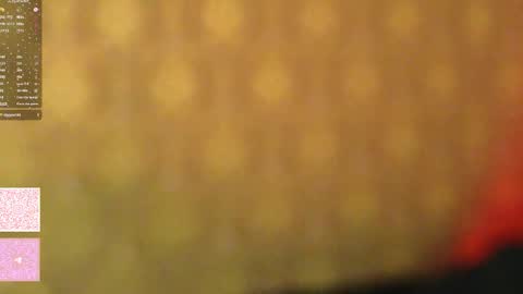 Morgan next stream tomorrow 0000 poland time online show from January 6, 2026, 10:45 pm