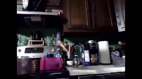 Snapshot of misseeva chatting on December 14, 2024, 6:46 am MissEeva online show from December 14, 2024, 6:46 am