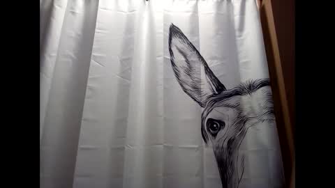 Snapshot of misseeva chatting on December 19, 2024, 6:23 pm MissEeva online show from December 19, 2024, 6:23 pm