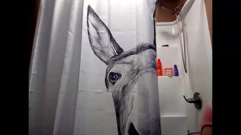 Snapshot of misseeva chatting on December 28, 2024, 2:01 am MissEeva online show from December 28, 2024, 2:01 am