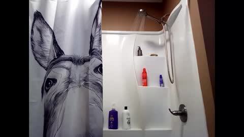 Snapshot of misseeva chatting on February 10, 2025, 7:17 pm MissEeva online show from February 10, 2025, 7:17 pm