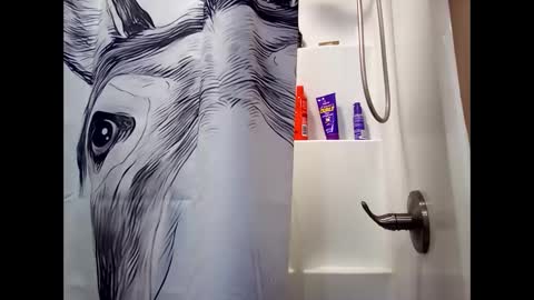 Snapshot of misseeva chatting on February 26, 2025, 3:10 am MissEeva online show from February 26, 2025, 3:10 am