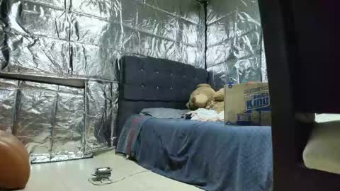 Snapshot of missstres_scarleth chatting on November 24, 2025, 2:55 am SCARLETH online show from November 24, 2025, 2:55 am