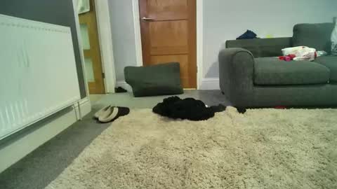 misterycouple12 online show from December 27, 2024, 4:04 am