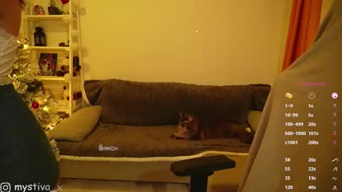 Hi everyone Im Tina online show from December 20, 2025, 5:53 pm