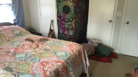 MistyVale online show from January 21, 2025, 4:48 pm