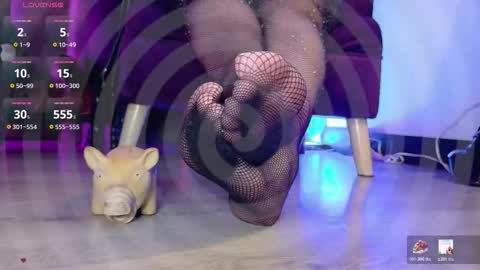 Jhadee online show from December 23, 2025, 3:15 am