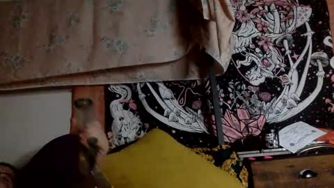 Mistress Mystii online show from January 12, 2025, 6:28 am