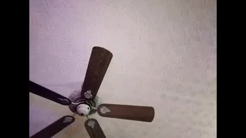 BobbyMitchGa online show from January 4, 2025, 6:41 am