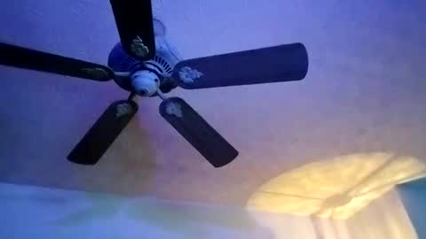 BobbyMitchGa online show from February 10, 2025, 7:04 am