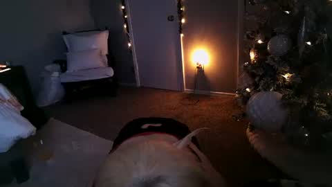 Angel online show from December 11, 2024, 11:30 am