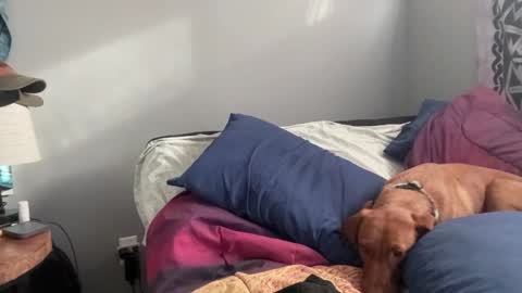 MNTuiLa online show from February 2, 2025, 3:39 pm