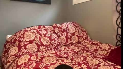 MNTuiLa online show from September 9, 2025, 12:59 pm