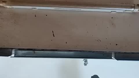 camilo online show from September 24, 2025, 12:08 pm