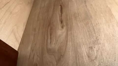 Jack online show from October 20, 2025, 6:58 am