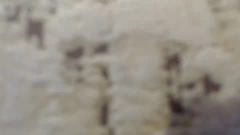 Mohito200711 online show from September 12, 2025, 6:35 am