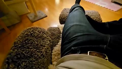 Snapshot of mojo28112 chatting on November 25, 2025, 6:19 pm mojo28112 online show from November 25, 2025, 6:19 pm