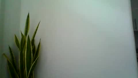 Snapshot of mollypepe chatting on September 9, 2025, 9:42 am mollypepe online show from September 9, 2025, 9:42 am