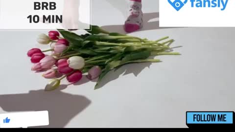 Mommy online show from January 22, 2025, 5:16 am