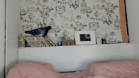 Liza online show from September 15, 2025, 9:59 pm