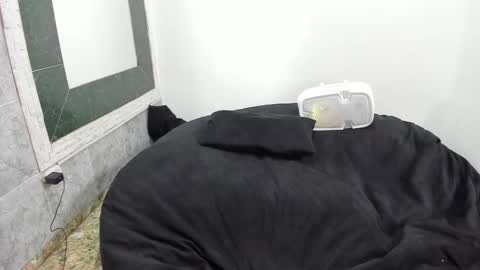 Snapshot of monkeyd_66 chatting on February 18, 2025, 9:10 am monkeyd_66 online show from February 18, 2025, 9:10 am