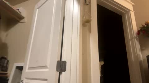 Monroe online show from December 8, 2024, 7:37 am