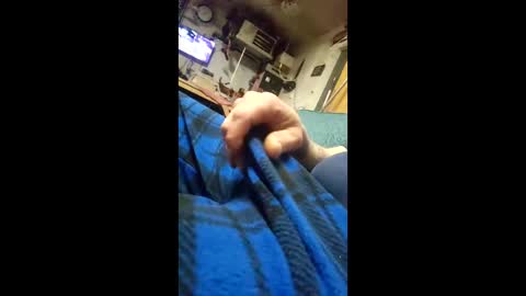 Snapshot of monsterjosh84 chatting on February 11, 2026, 7:24 am monsterjosh84 online show from February 11, 2026, 7:24 am