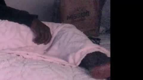 montydxxx2 online show from February 3, 2026, 6:40 am