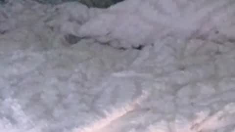 montydxxx2 online show from February 5, 2026, 12:26 am