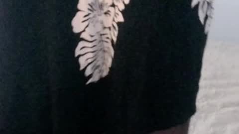 montydxxx2 online show from February 23, 2026, 6:55 am