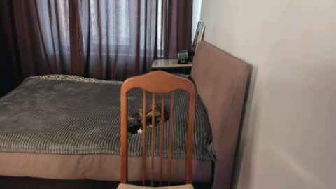 Zoe online show from April 1, 2026, 11:55 am