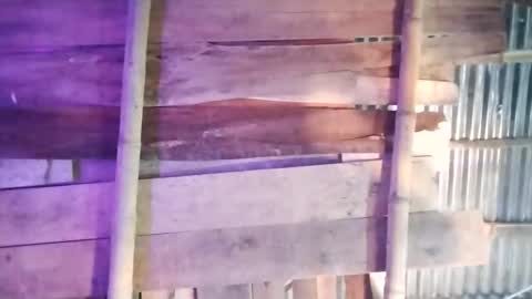 moon_roxee online show from January 4, 2025, 7:13 pm