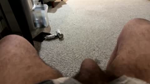 moosho online show from March 31, 2026, 12:16 pm