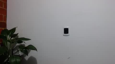 Abelardo online show from April 6, 2026, 4:57 am