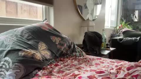 Snapshot of moreplease413 chatting on December 27, 2024, 8:18 pm moreplease413 online show from December 27, 2024, 8:18 pm