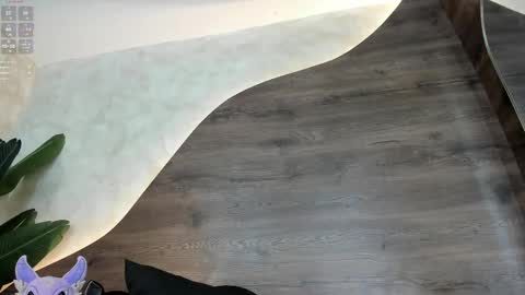  Morgan  online show from February 18, 2025, 2:38 pm