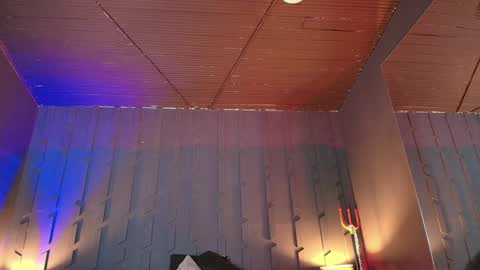 Morgana online show from January 21, 2025, 1:29 am