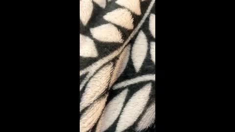 Morgan  Gina online show from March 21, 2026, 2:27 am