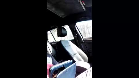 Nomadu online show from March 14, 2026, 10:42 am