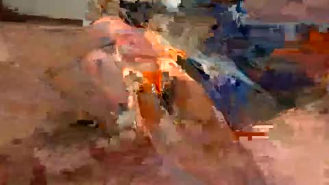 Flying Bird online show from January 18, 2026, 10:46 pm