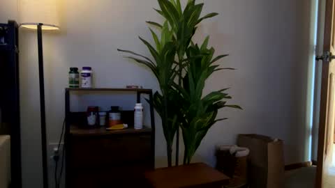 Sequoia-Cocked Hombre de Sur online show from February 1, 2026, 8:40 pm