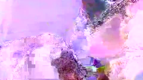 Mr boom online show from June 5, 2026, 10:21 am