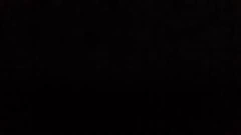 Nikola online show from November 11, 2025, 8:25 am